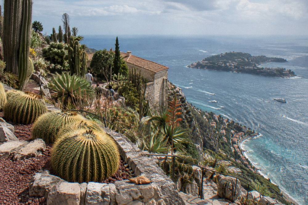 Terraced cactus garden on a cliffside overlooking the Mediterranean coastline