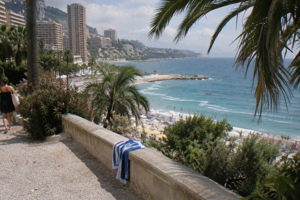 Sunny terrace overlooking the Monaco coastline with palm trees and Mediterranean water