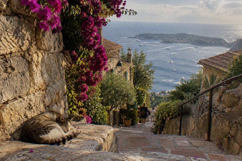 Narrow stone alley in a hilltop village with flowering plants along the walls