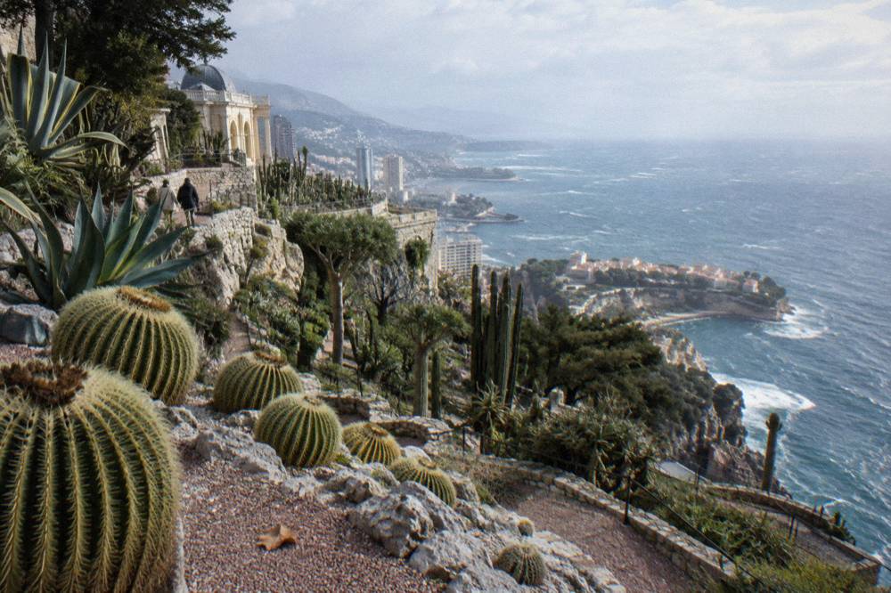 Succulent terraces of the Exotic Garden overlooking the Monaco coastline