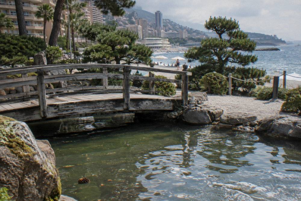 Wooden bridge over a pond surrounded by pruned pines in a Japanese style garden