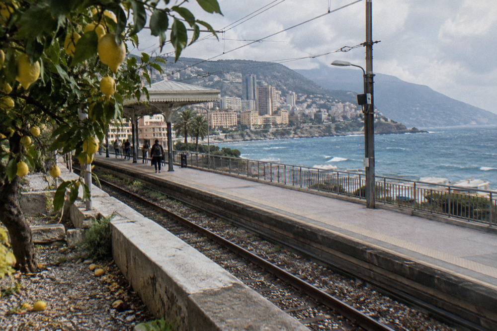 Lemon trees in a terraced garden above Menton