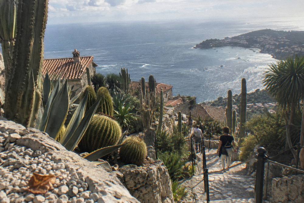 Cactus terraces of a cliffside garden overlooking a blue sea and distant coastline