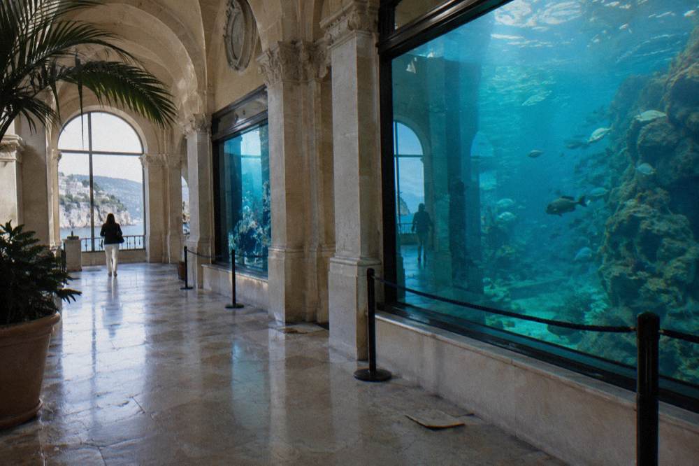 Aquarium hall with tall glass tanks and arched stone architecture inside a museum