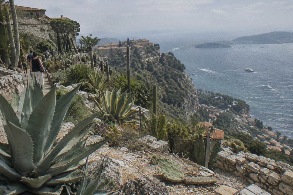 Cactus terraces of a cliffside garden overlooking the Mediterranean