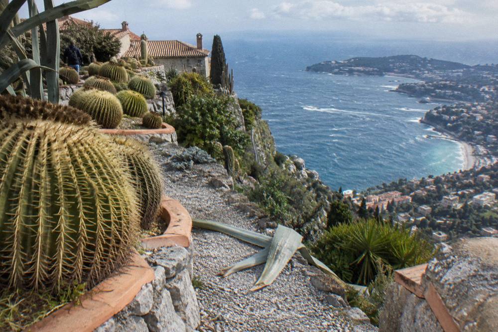 Cliffside Jardin Exotique terraces with cacti above Monaco rooftops