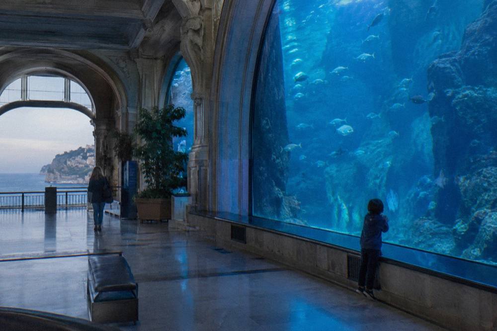 Grand aquarium hall of the Oceanographic Museum with a large shark tank lit in blue