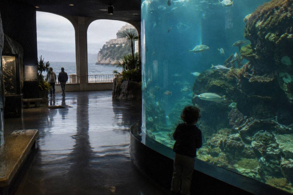 Tropical aquarium tank with fish and coral inside the Oceanographic Museum