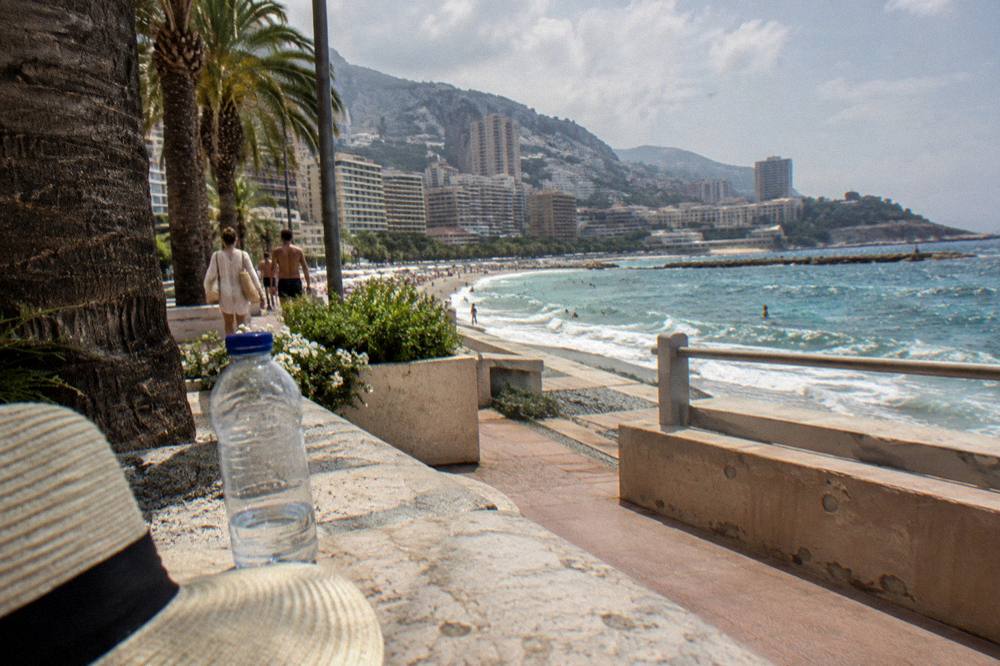 Visitors in light summer clothing on a palm-lined waterfront promenade in Monaco